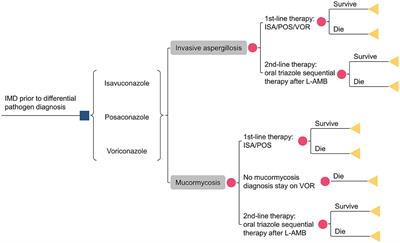 Pharmacoeconomic evaluation of isavuconazole, posaconazole, and voriconazole for the treatment of invasive mold diseases in hematological patients: initial therapy prior to pathogen differential diagnosis in China